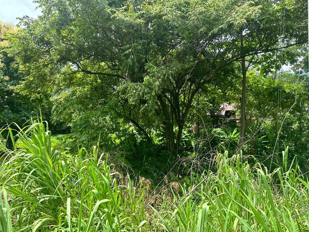 Prime Commercial Lot in the Heart of Uvita in OSA (1) Prime Commercial Lot in the Heart of Uvita in OSA