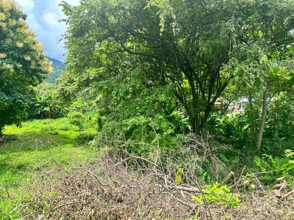 Prime Commercial Lot in the Heart of Uvita in OSA (2) Prime Commercial Lot in the Heart of Uvita in OSA