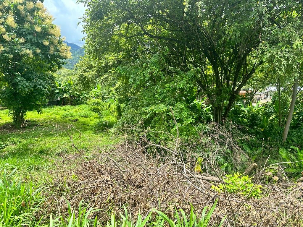 Prime Commercial Lot in the Heart of Uvita in OSA (3) Prime Commercial Lot in the Heart of Uvita in OSA