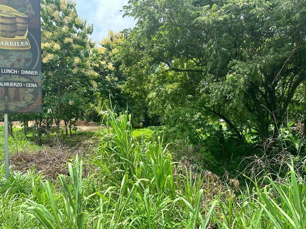 Prime Commercial Lot in the Heart of Uvita in OSA (4) Prime Commercial Lot in the Heart of Uvita in OSA
