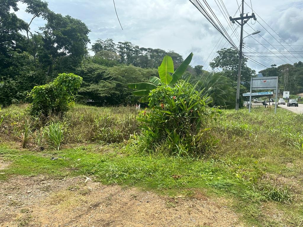 Realtor in Paradise Uvita Costa Rica