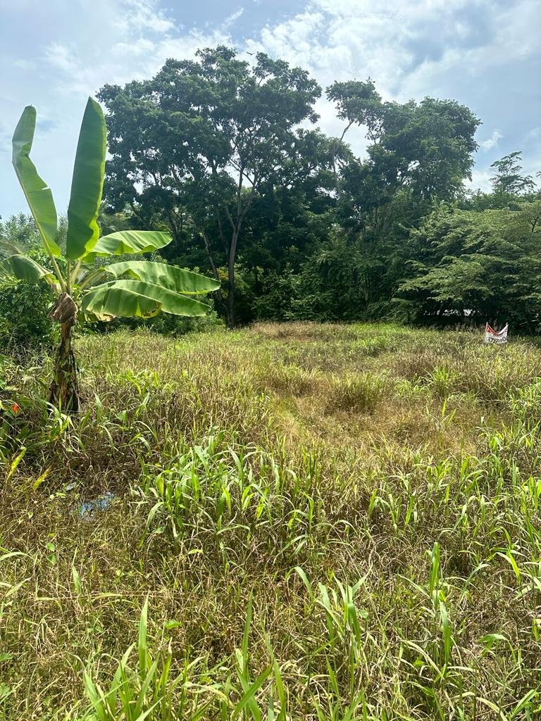Realtor in Paradise Uvita Costa Rica
