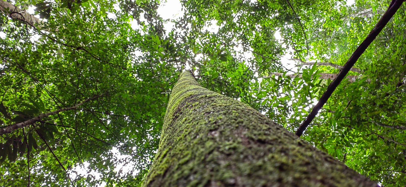 Realtor in Paradise Extraordinary Conservation Sanctuary