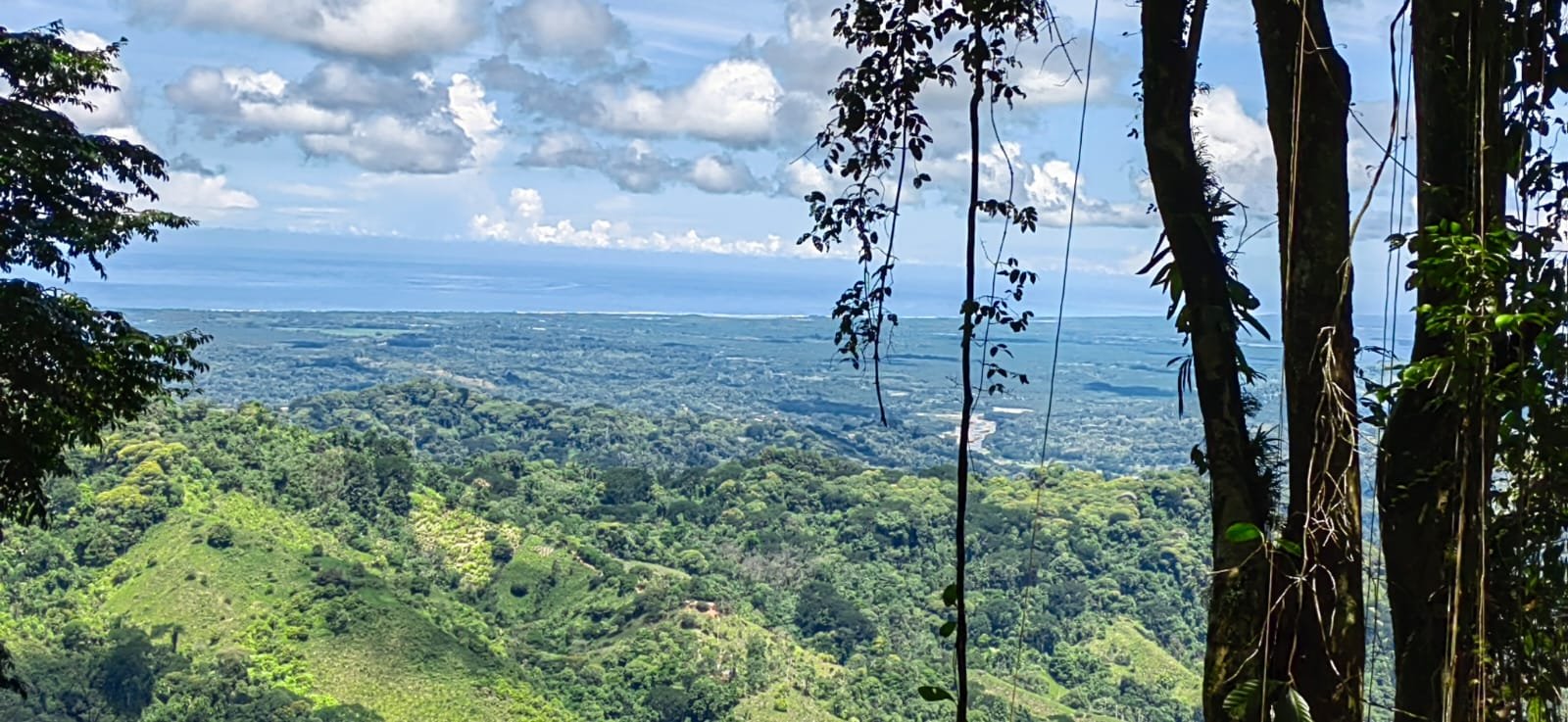 Realtor in Paradise Extraordinary Conservation Sanctuary