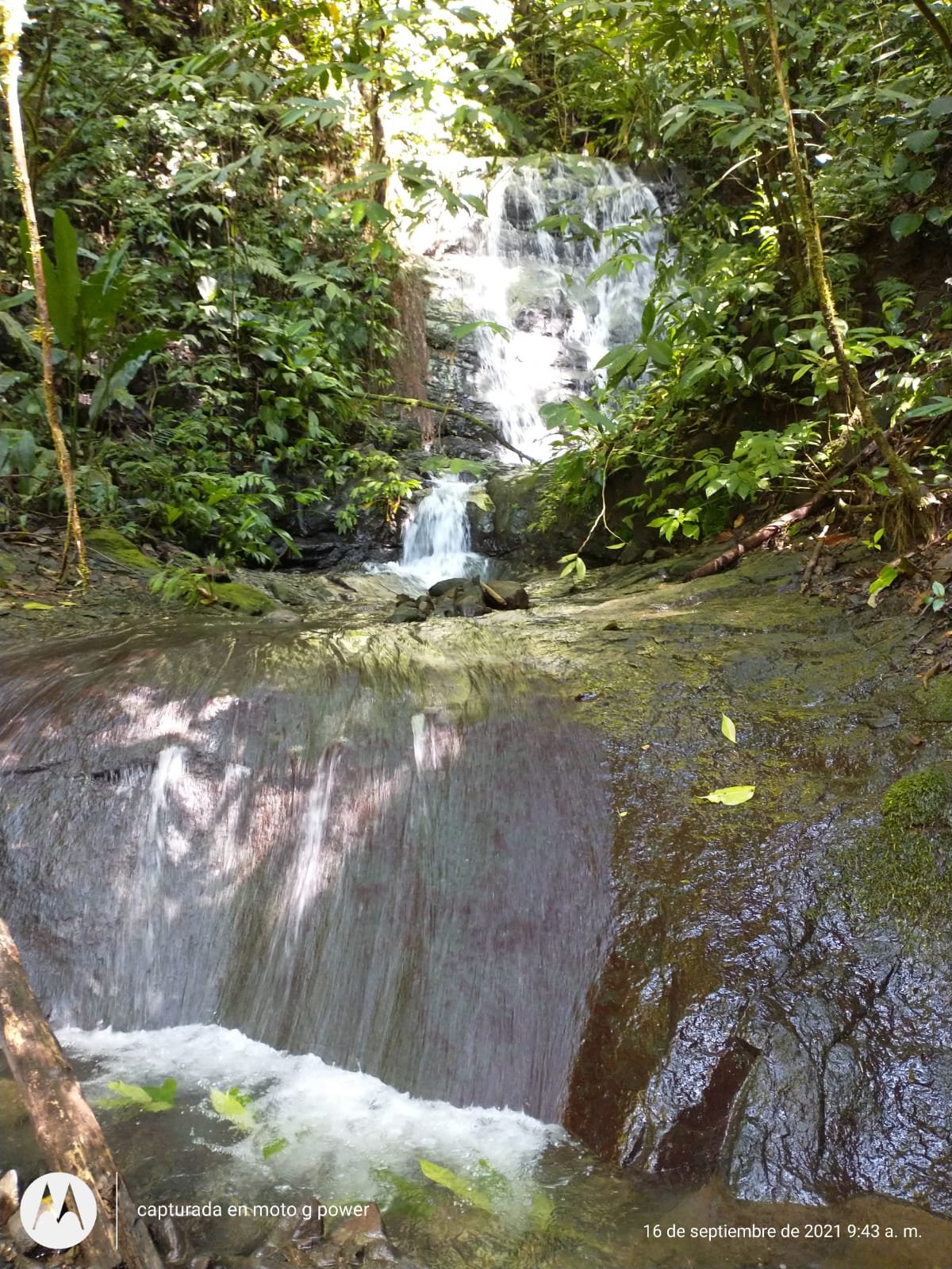 Realtor in Paradise Extraordinary Conservation Sanctuary